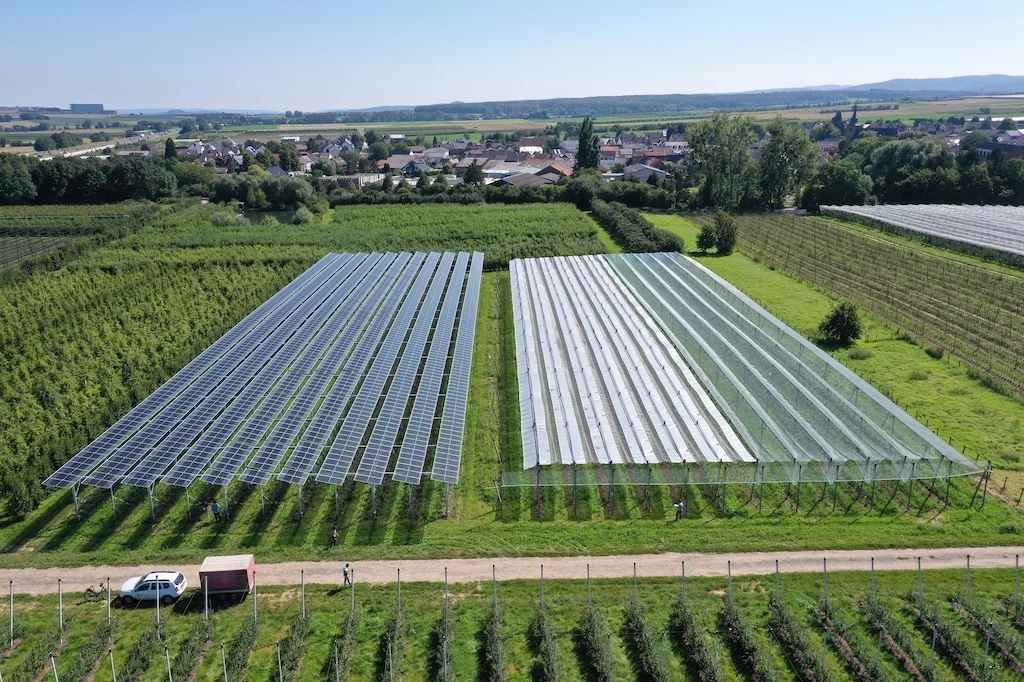 Solarmodule neben Apfelbaum-Plantage